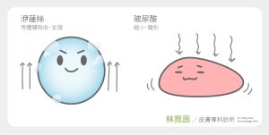 洢蓮絲ELLANSE少女針與玻尿酸相比 洢蓮絲等體積裂解讓術後的樣貌更穩定