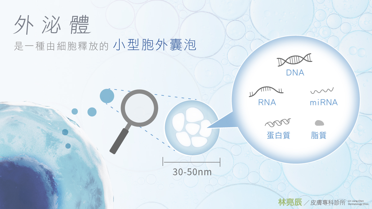 外泌體是一種在細胞質中經由複雜的生物合成與分泌過程形成的小型胞外囊泡