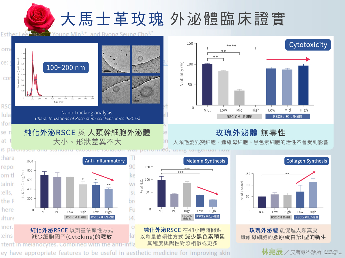 大馬士革玫瑰外泌體與人體肌膚有高度連結能有效改善不同類型的肌膚問題回溯年輕肌膚狀態