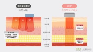 傳統單頻電波與 XERF 雙頻電波穿透深度比較圖，呈現 6.78 MHz 與 2 MHz 的差異